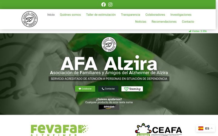 Screenshot of afa-alzira.com