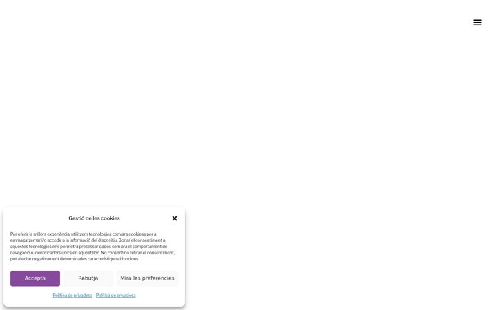 Screenshot von afainstitutsils.cat