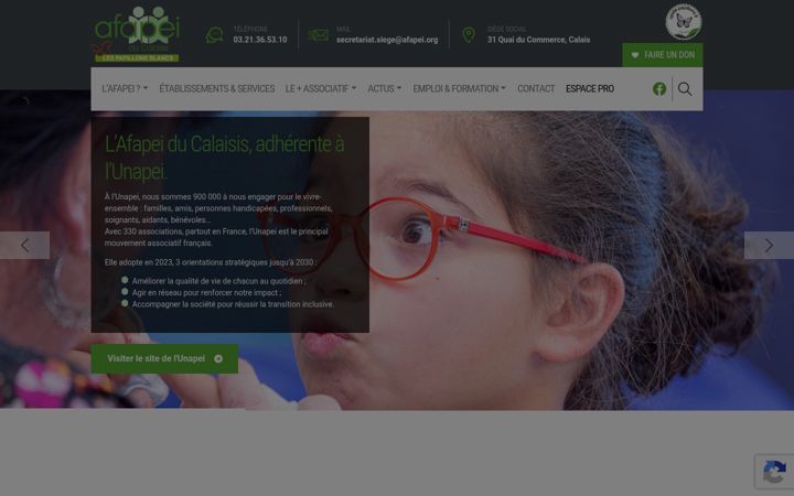 Screenshot of afapei.org