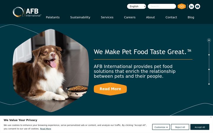 Screenshot of afbinternational.com