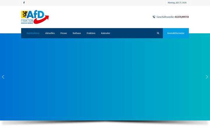 Screenshot of afd-fraktion-bergheim.de