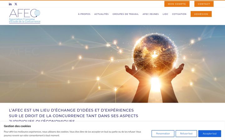 Screenshot of afec.asso.fr