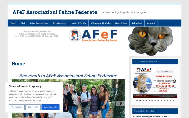 Screenshot of afef.eu