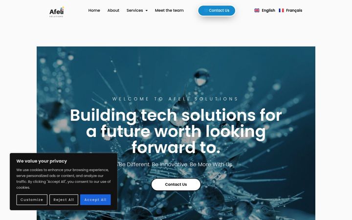 Screenshot of afelisolutions.com