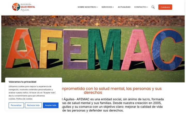Screenshot of afemac.org