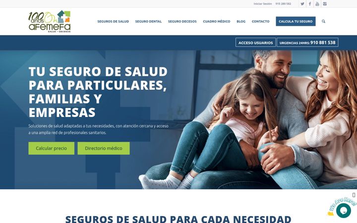 Screenshot of afemefa.com