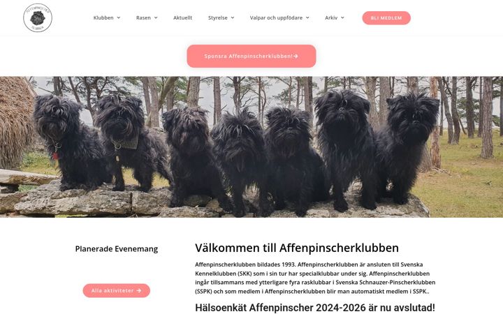 Screenshot di affenpinscher.se