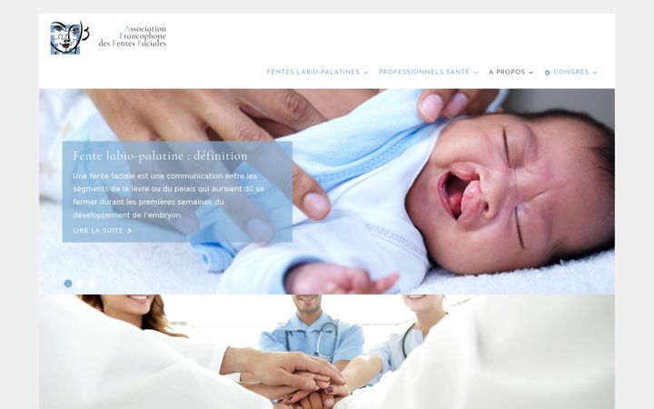 Screenshot of afff.fr