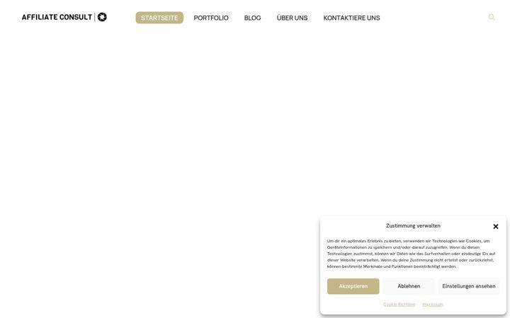 Snímek obrazovky affiliate-consult.com