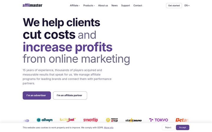 Screenshot of affilmaster.com