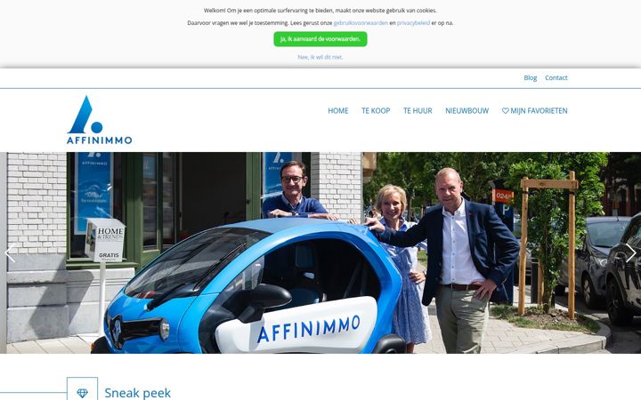 Screenshot of affinimmo.be