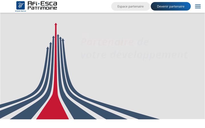 Screenshot of afi-esca-patrimoine.com