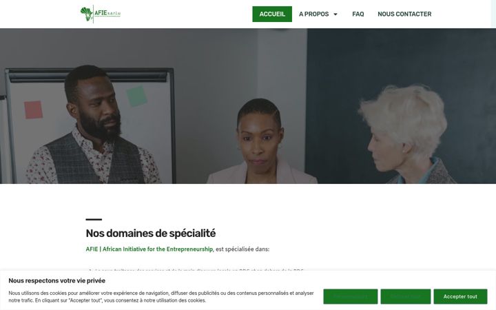 Screenshot of afiesarlu.com
