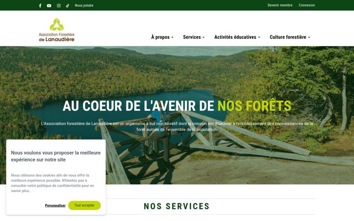 Screenshot of aflanaudiere.org