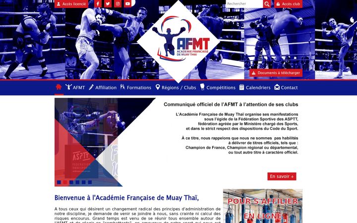 Screenshot of afmt.fr