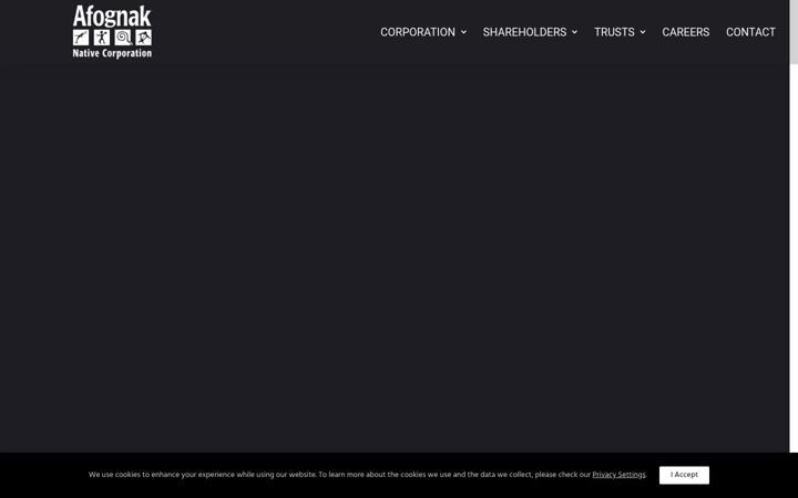 Screenshot of afognak.com