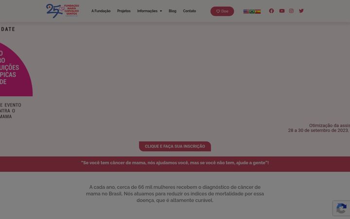 Screenshot of afonte.org.br