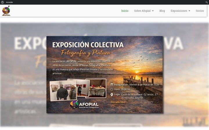 Screenshot of afopial.org