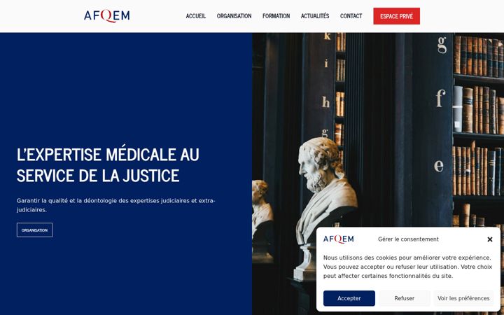 Screenshot of afqem.fr