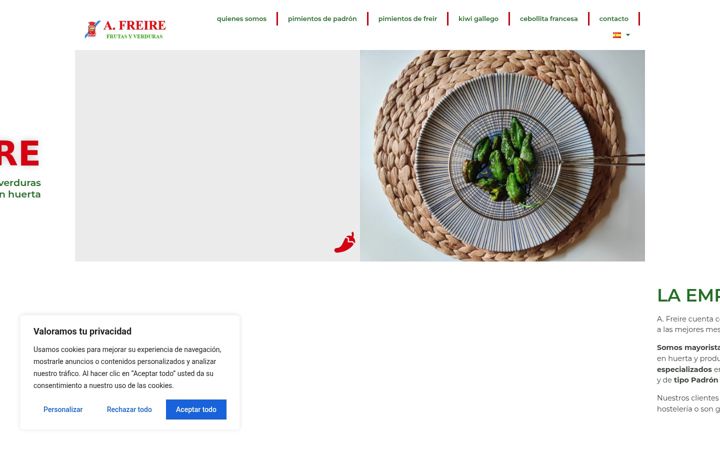 Snímek obrazovky afreire.es
