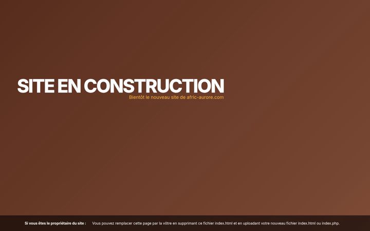 Screenshot of afric-aurore.com