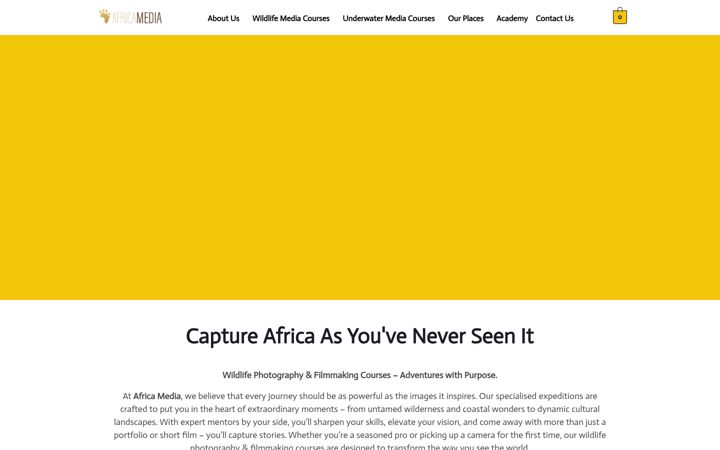 Screenshot of africa-media.co.za