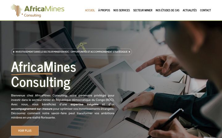 Skärmbild av africamines-consulting.fr
