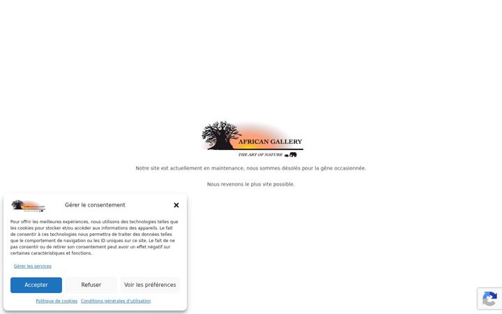 Screenshot of african-gallery.net