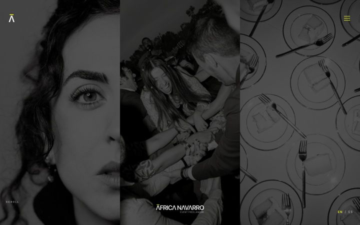 Screenshot of africanavarro.com