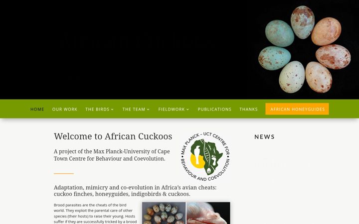 Posnetek zaslona africancuckoos.com
