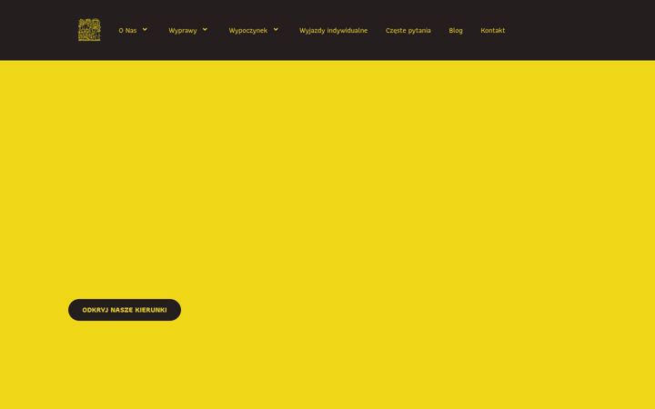 Screenshot of africanfive.com
