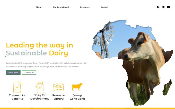 Screenshot of africanjerseyforum.com