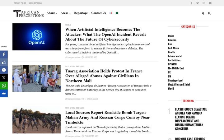 Screenshot of africanperceptions.org