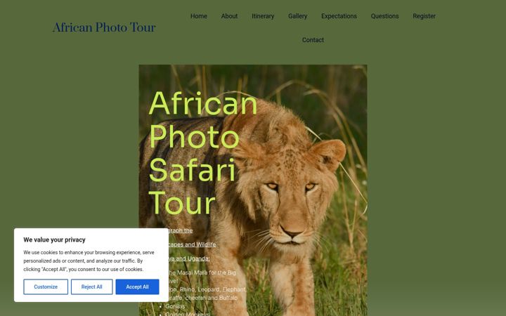 Screenshot of africanphototour.com