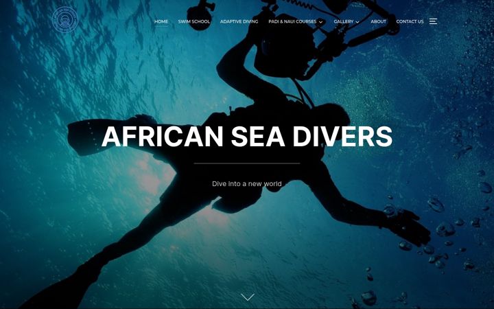 Screenshot of africanseadivers.com