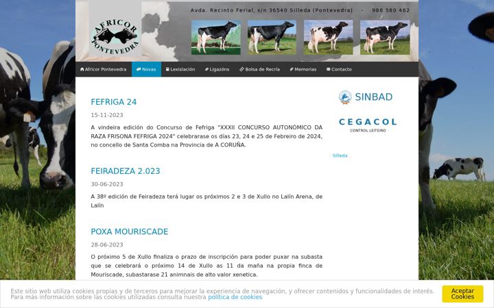Screenshot von africorpontevedra.com
