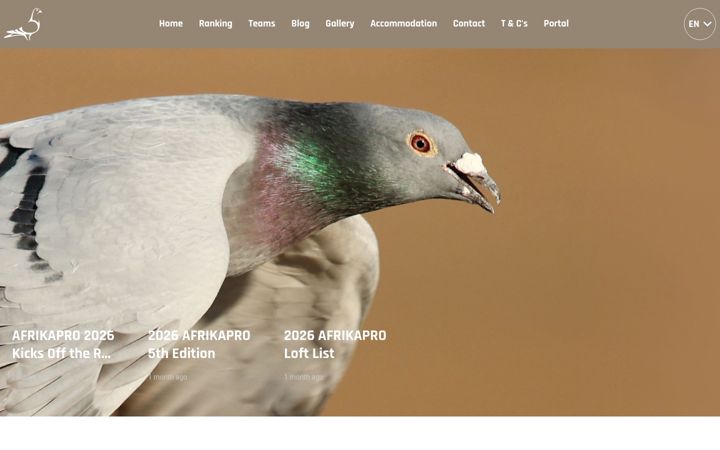 Screenshot of afrikapro.com