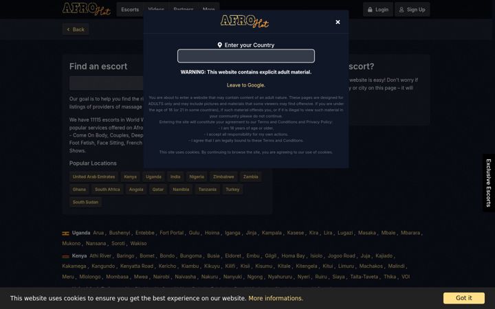 Screenshot of afrohot.com