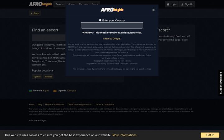 Screenshot of afrohotgirls.com