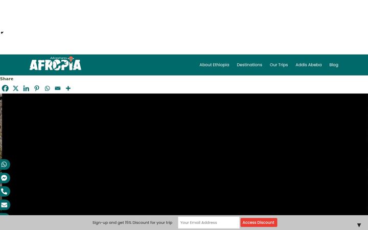 Screenshot of afropiaadventures.com