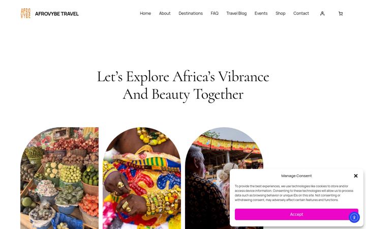 Screenshot of afrovybetravel.com