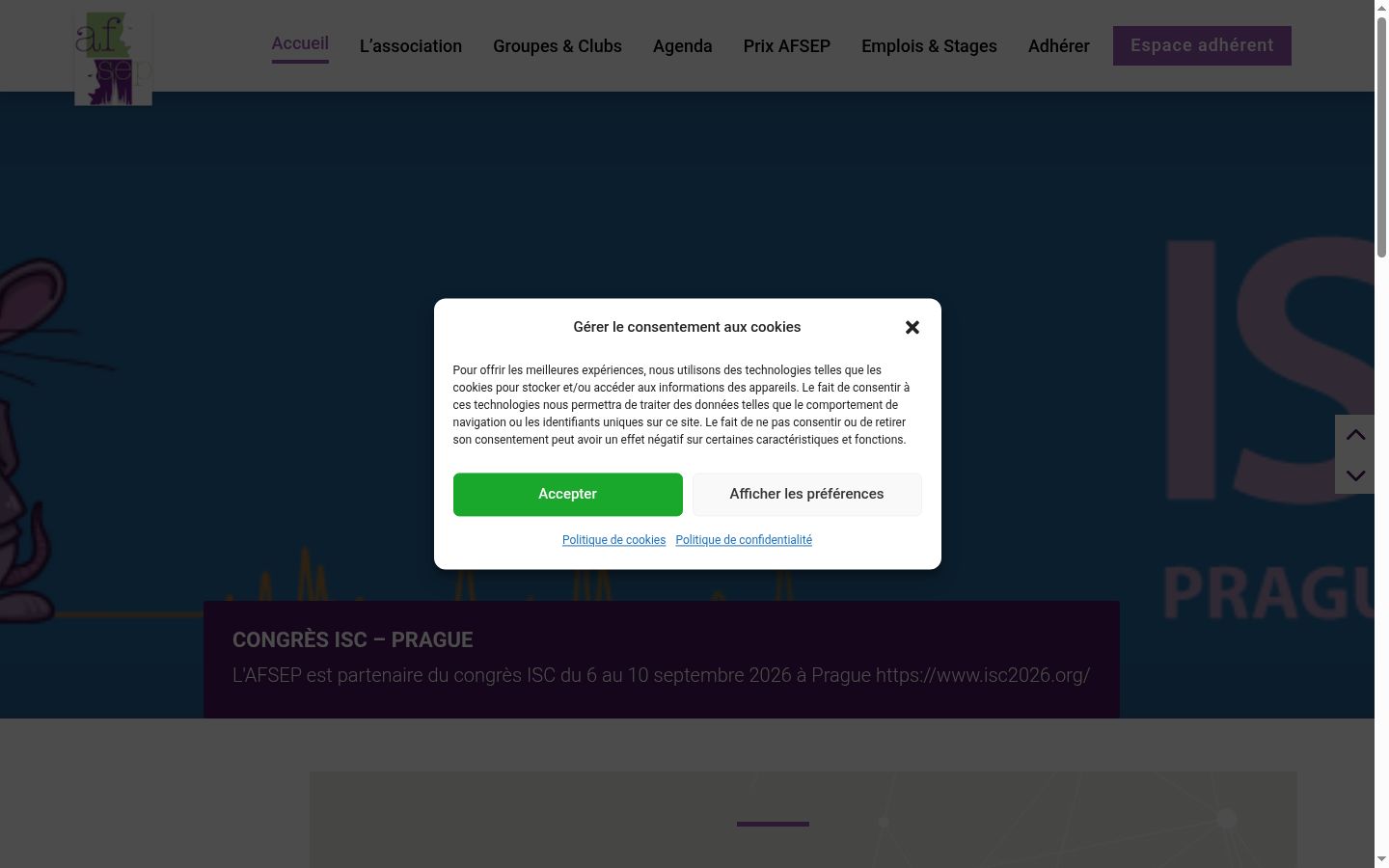Sutikimo reklamjuostės, rodytos prieš bet kokią sąveiką, ekrano kopija