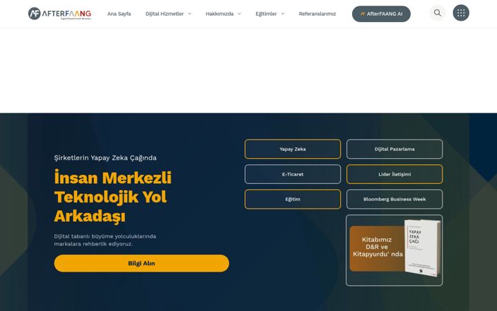 Screenshot of afterfaang.com