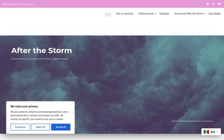 Captura de ecrã de afterthestorm.store