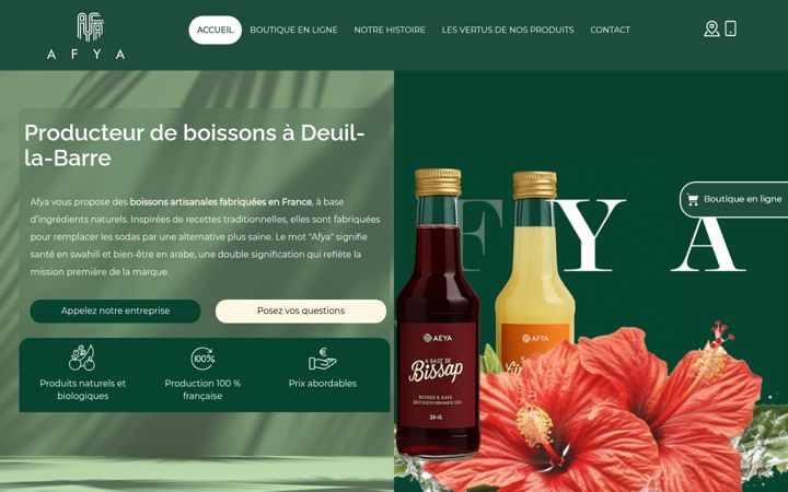 Screenshot of afya-sas.com