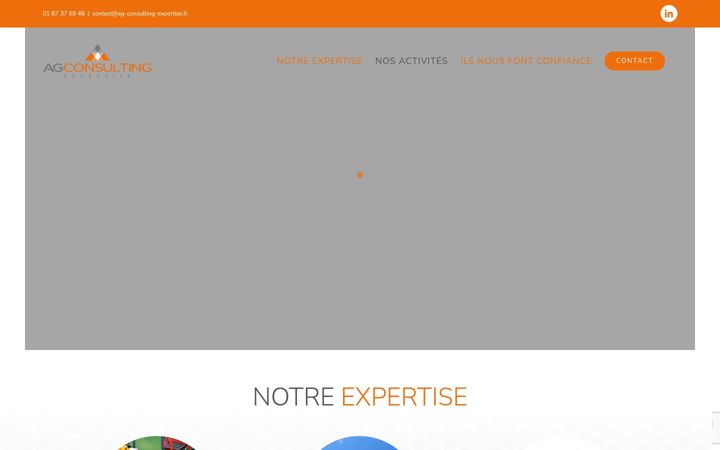 Snimka zaslona za ag-consulting-expertise.fr