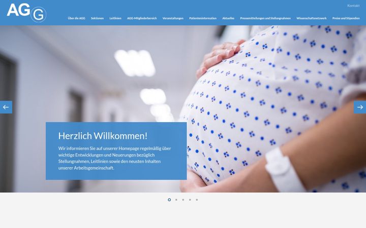 Screenshot of ag-geburtshilfe.de