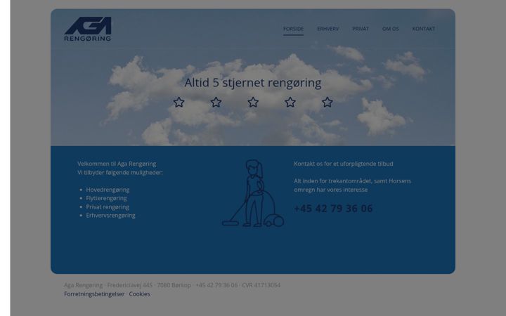 Screenshot of aga-rengoring.dk
