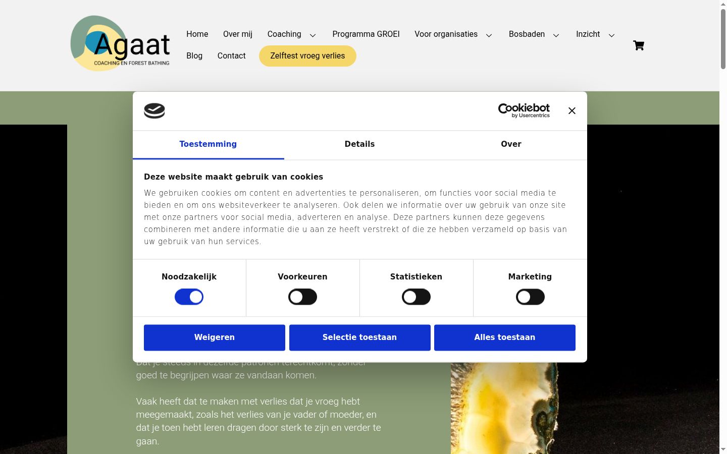 Skärmbild av samtyckesbannern som visades före någon interaktion