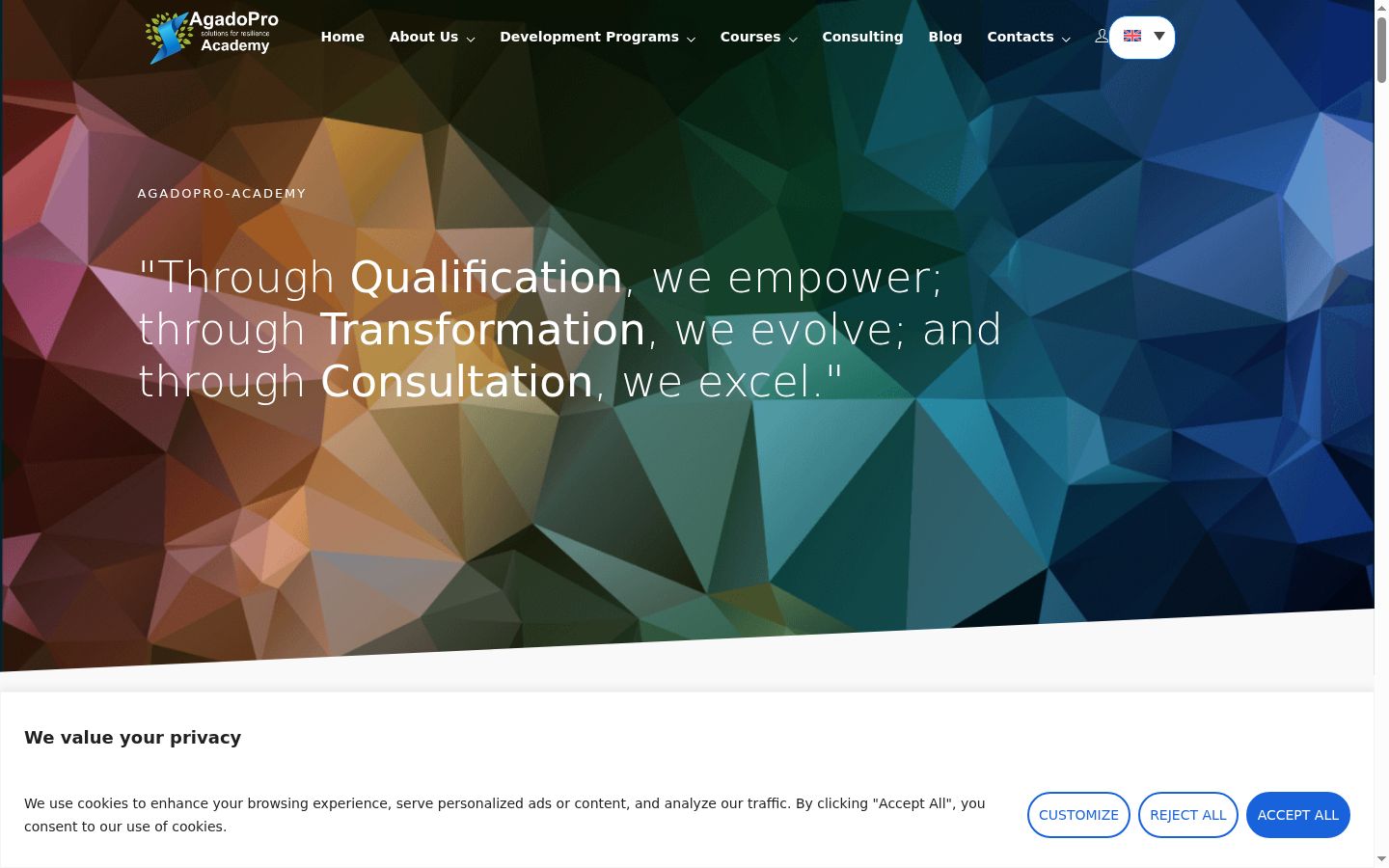 Screenshot of the consent banner shown before any interaction